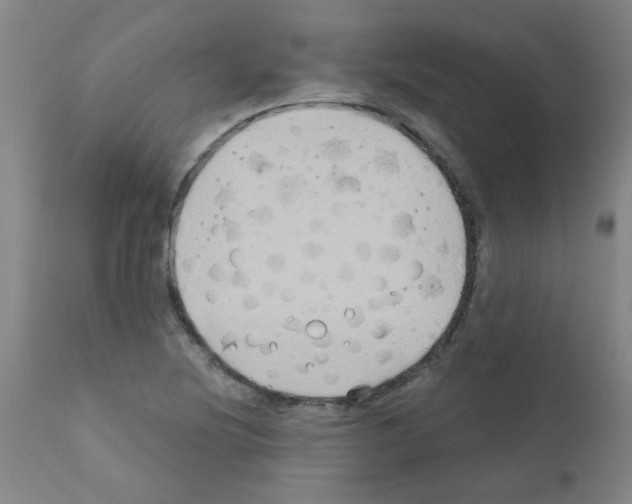 X0000111791220200909031149