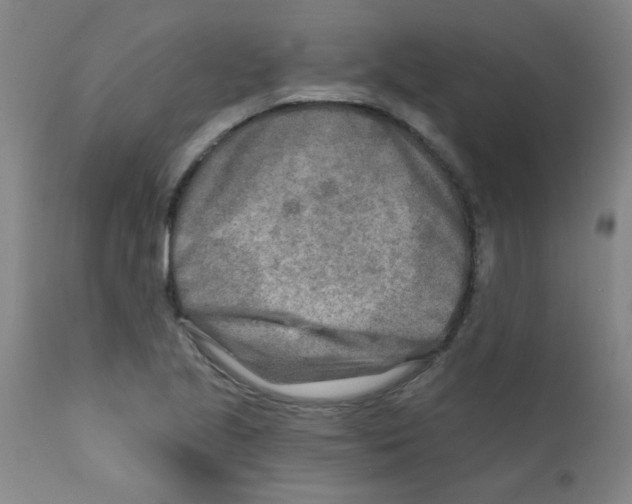 X0000111791221200909031149