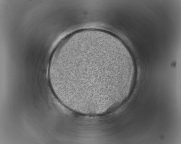 X0000111791224200909031149