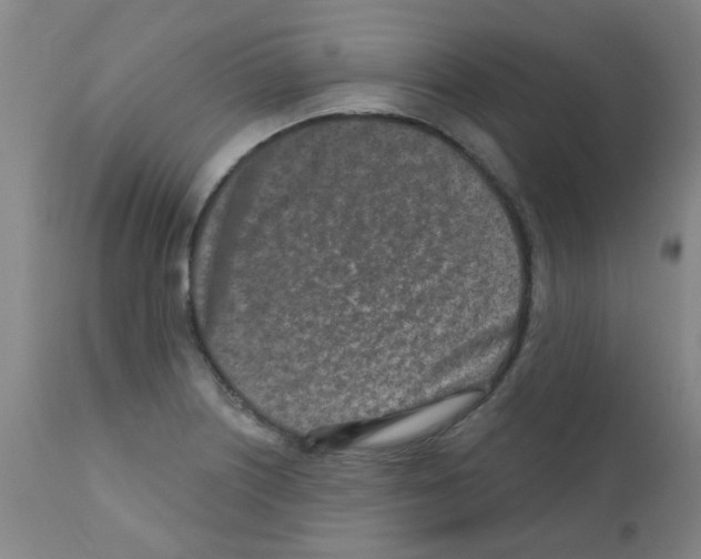 X0000111791226200909031149