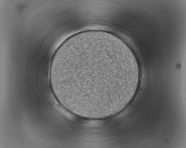 X0000111791228200909031150