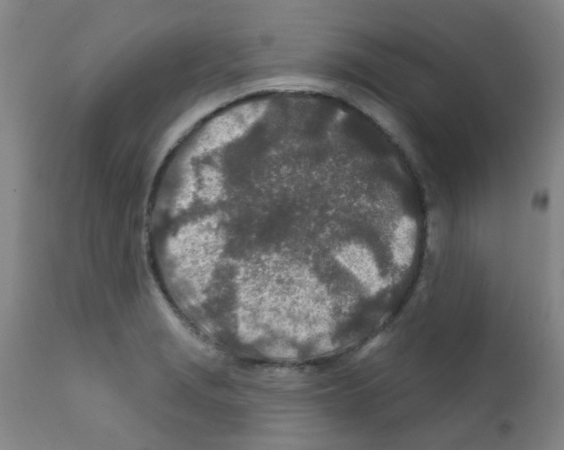 X0000111791229200909031150