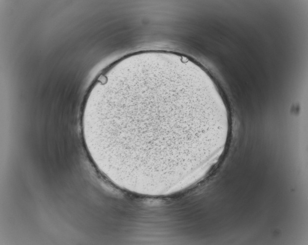 X0000111791230200909031150