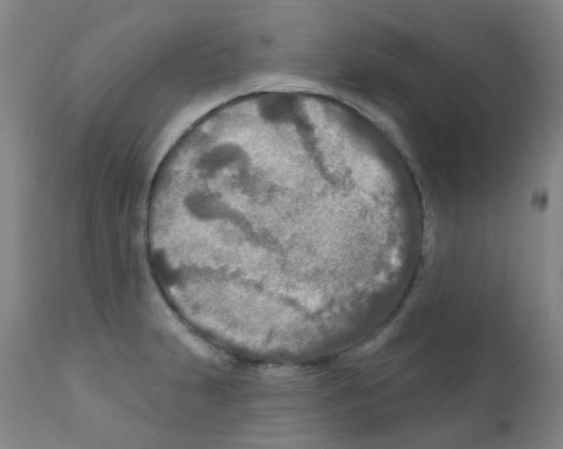 X0000111791231200909031150