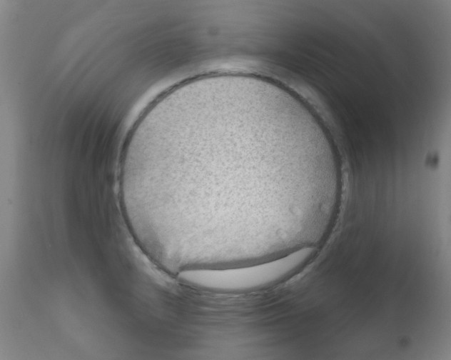 X0000111791232200909031150