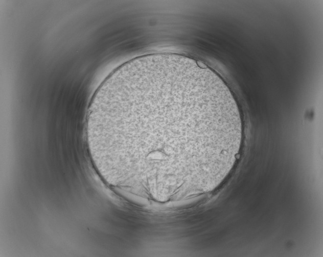 X0000111791236200909031150