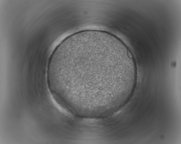 X0000111791237200909031150