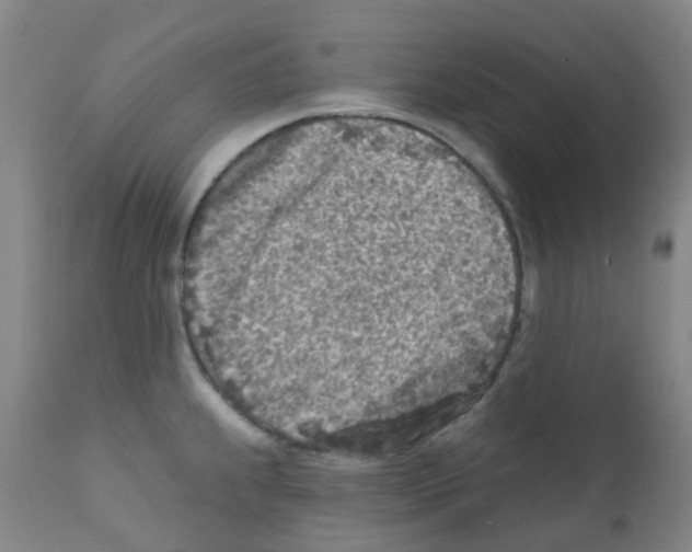 X0000111791239200909031150