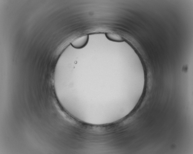 X0000111791241200909031150