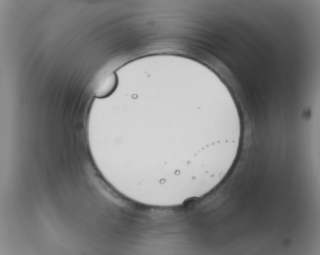 X0000111791242200909031150