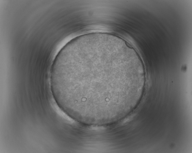 X0000111791243200909031150