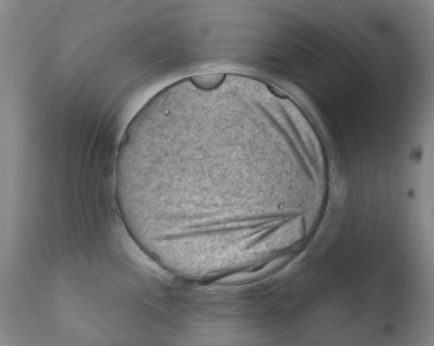 X0000111791244200909031150