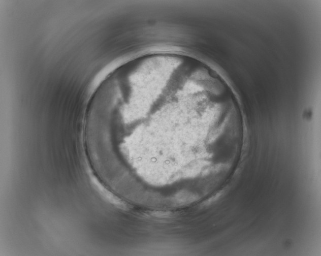 X0000111791245200909031150