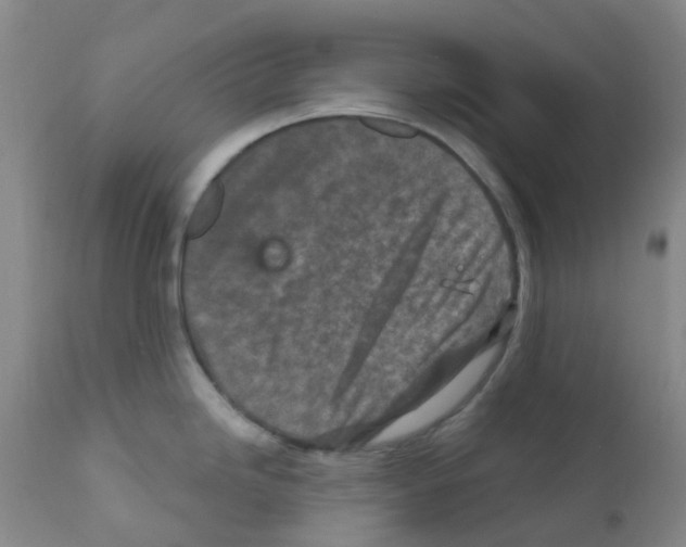 X0000111791246200909031150