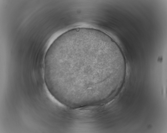 X0000111791247200909031150