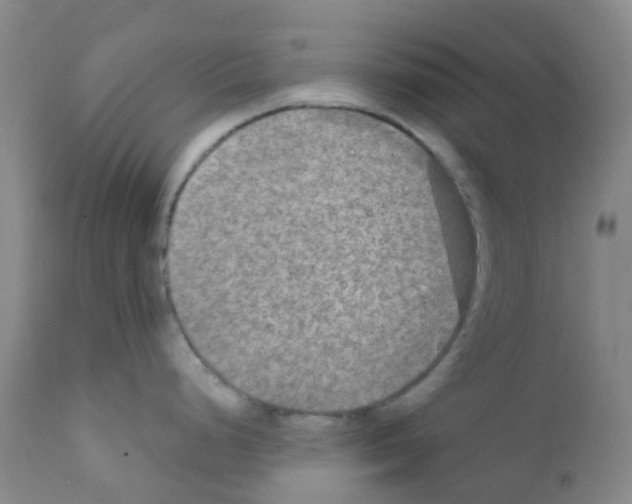 X0000111791248200909031150