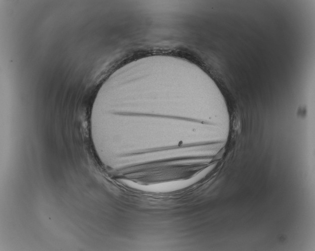 X0000111791252200909031149