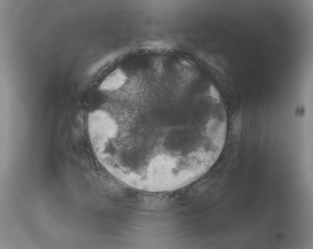 X0000111791254200909031149