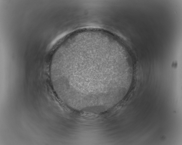 X0000111791255200909031149