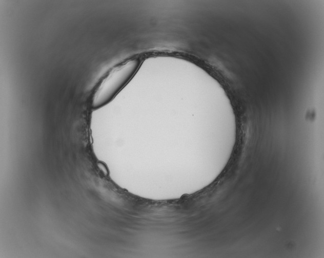 X0000111791256200909031149