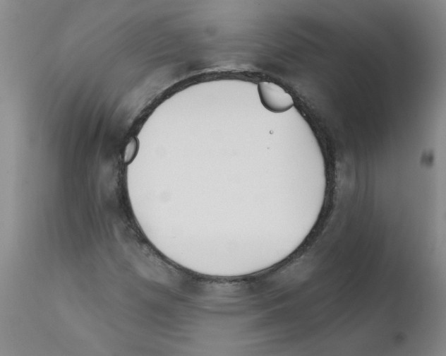 X0000111791257200909031149