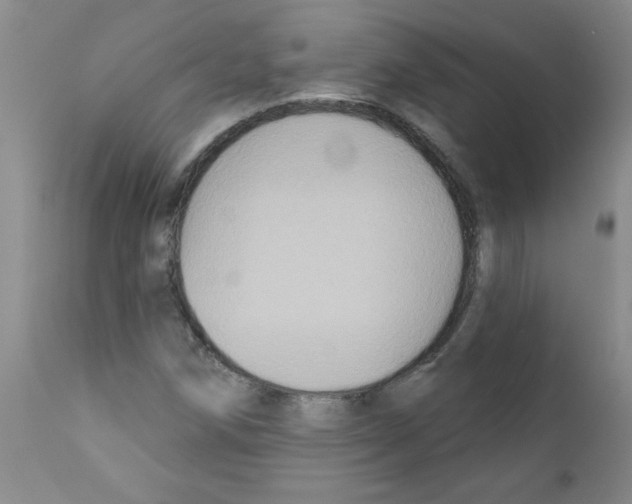 X0000111791258200909031149