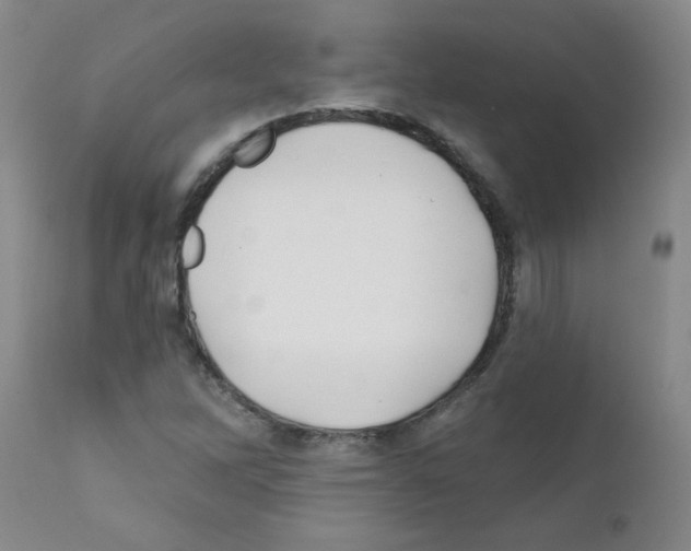 X0000111791262200909031149