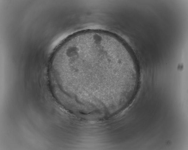 X0000111791263200909031149