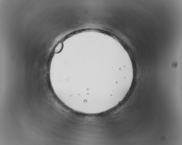 X0000111791264200909031149