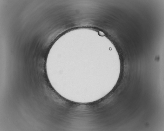 X0000111791265200909031149