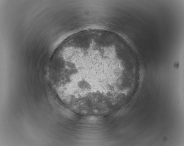 X0000111791266200909031149