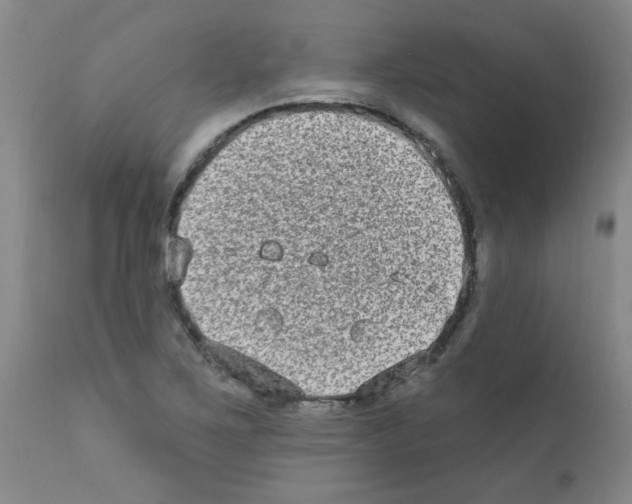 X0000111791267200909031149