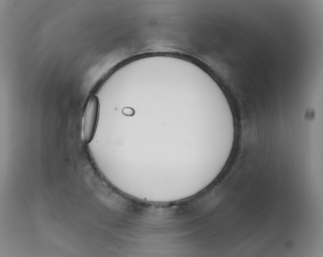 X0000111791269200909031149