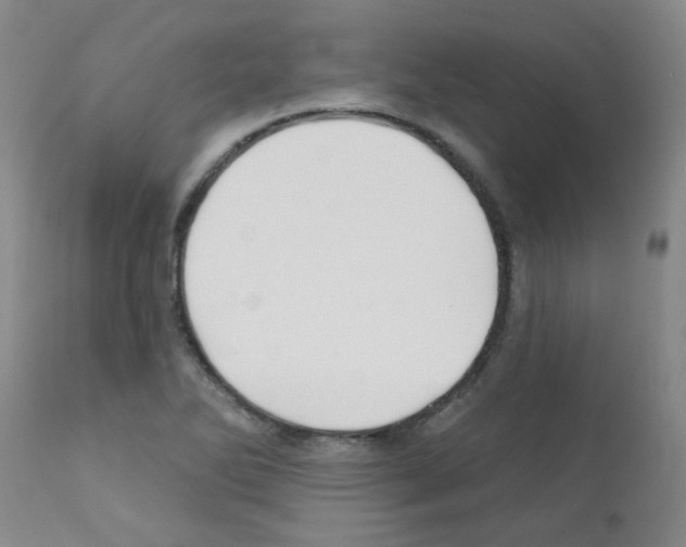 X0000111791270200909031149