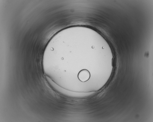 X0000111791273200909031148