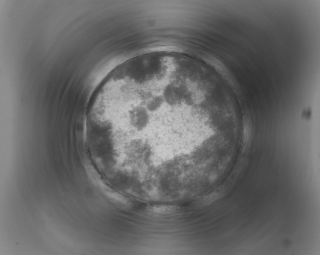 X0000111791274200909031148