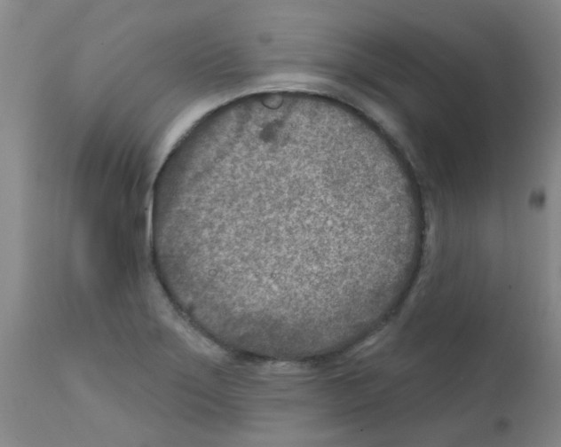 X0000111791275200909031148