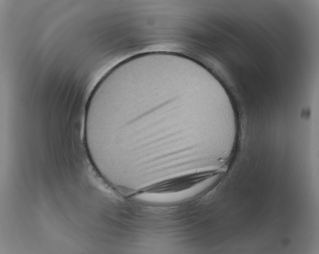 X0000111791276200909031148