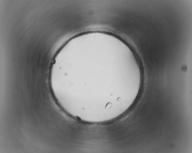 X0000111791277200909031148