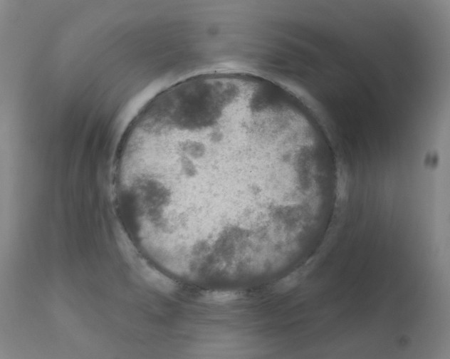 X0000111791278200909031148