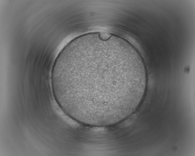 X0000111791283200909031148