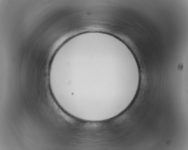 X0000111791286200909031148