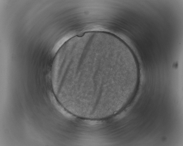 X0000111791289200909031148