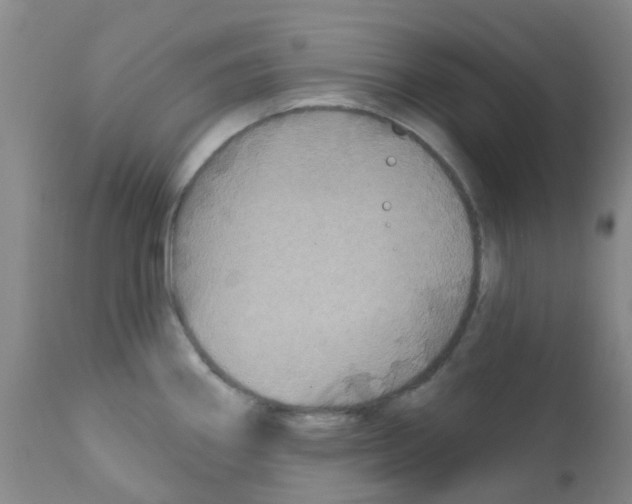 X0000111791290200909031148