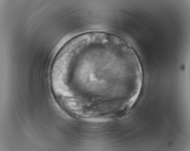 X0000111791291200909031148