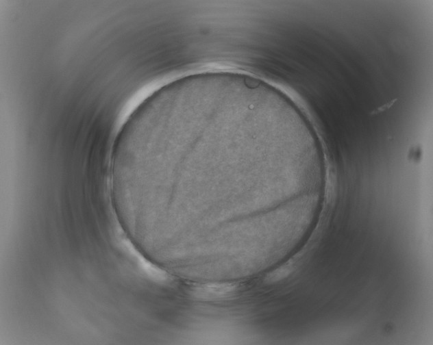 X0000111791294200909031148