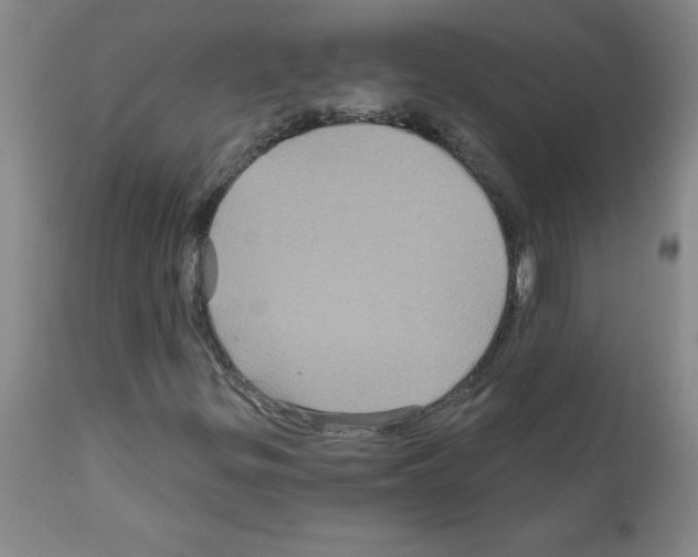 X0000111791299200909031147