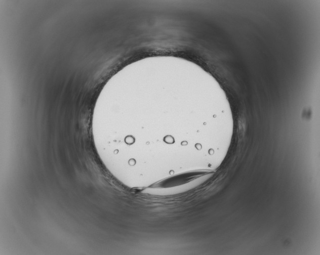 X0000111791300200909031147