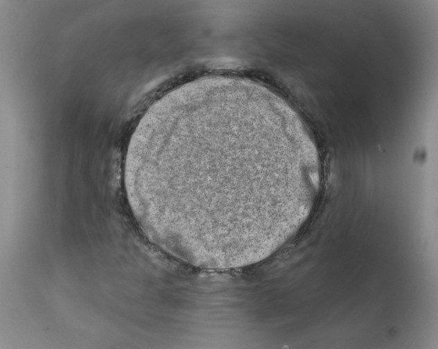 X0000111791301200909031147