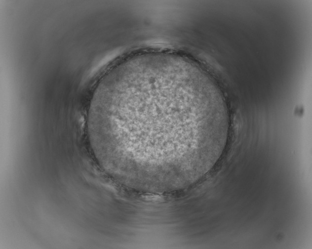 X0000111791302200909031147